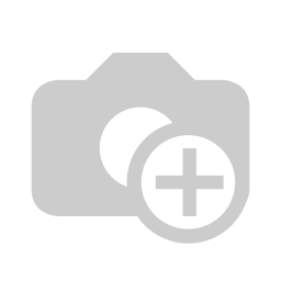 PARL BLUETOOTH FLOW NETMAK